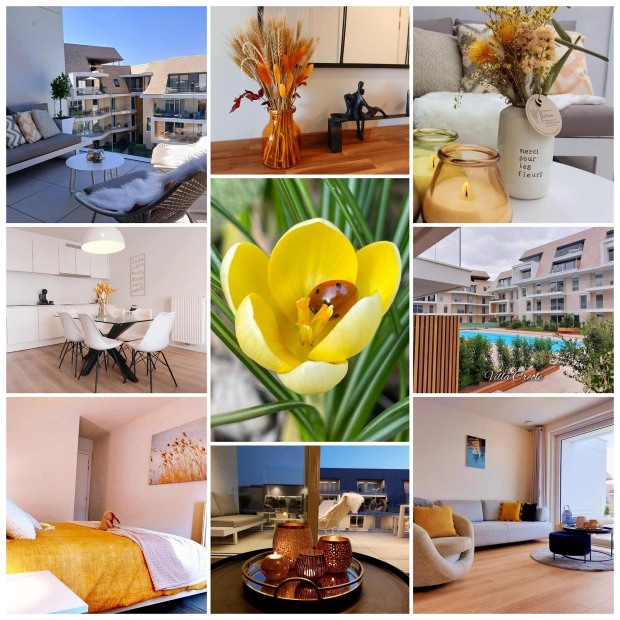 Villa Creole 0308 Luxe Appartement Met Verwarmd Zwembad Nieuwpoort Jachthaven Екстериор снимка